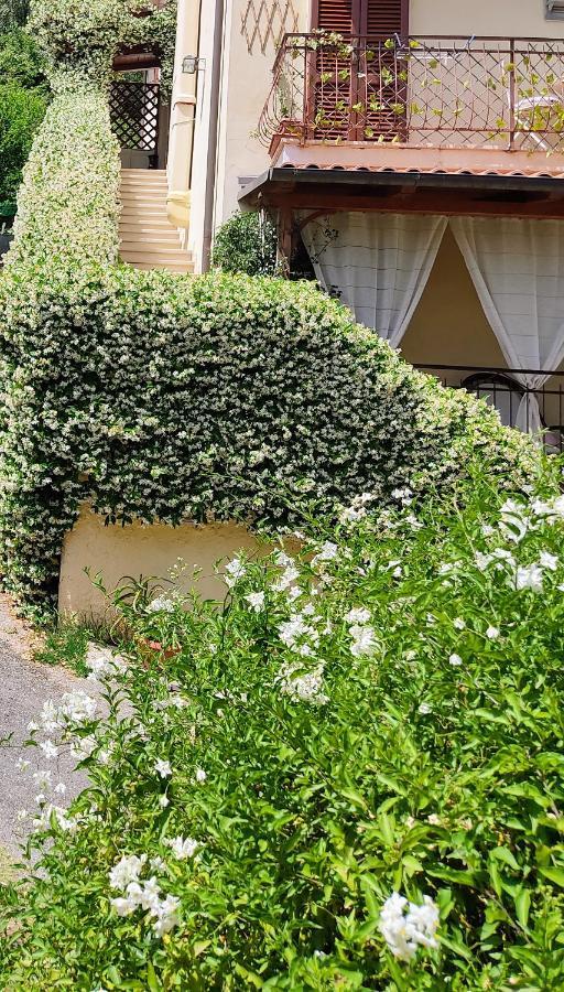 La Bouganville E Il Gelsomino Pietrasanta Eksteriør bilde