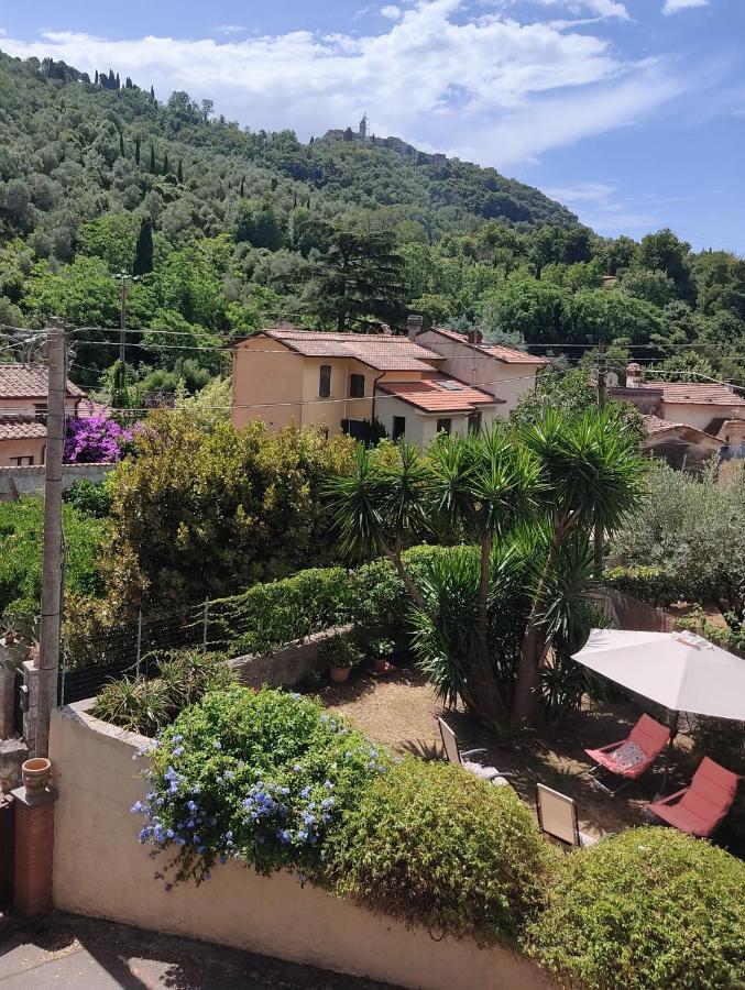 La Bouganville E Il Gelsomino Pietrasanta Eksteriør bilde