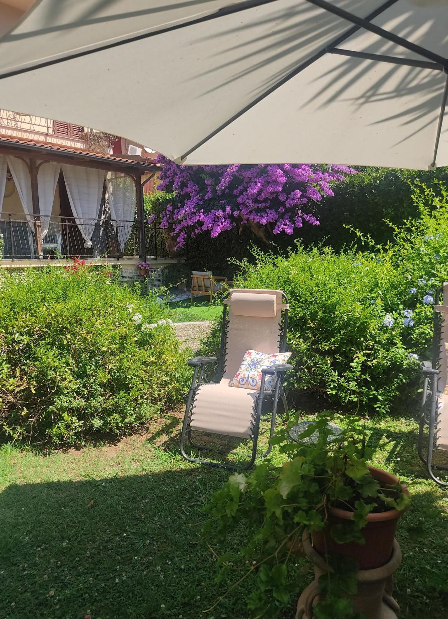 La Bouganville E Il Gelsomino Pietrasanta Eksteriør bilde